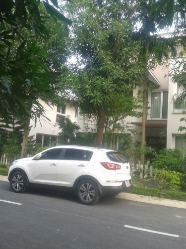 Biệt thự Eco Park